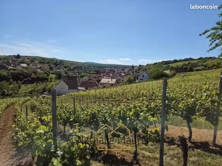 terrain 1 106 m² rosenwiller