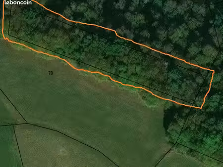 bois châtaigniers layrisse