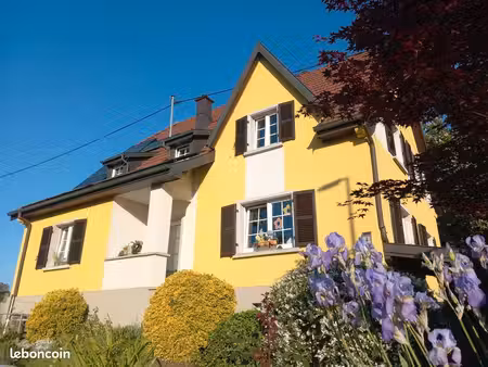 maison lumineuse et agréable pré pour chevaux