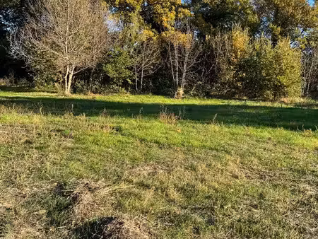 loue terrain