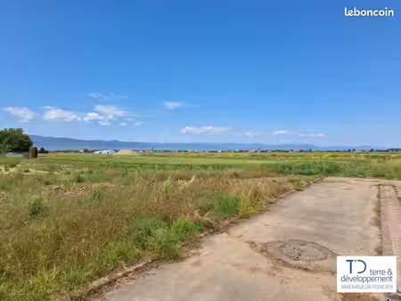 terrain de 286 m² à niederhergheim (haut-rhin)