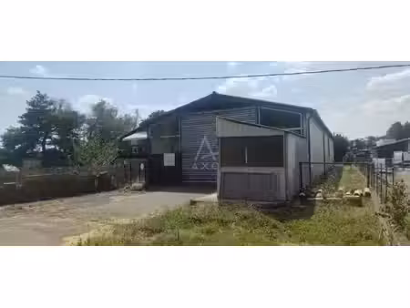 vente hangar saint-sauveur  300m² 254 400€ haute-garonne midi-pyrénées