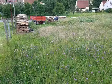 terrain constructible 11 35 ares à roderen (68) – rue du gigel