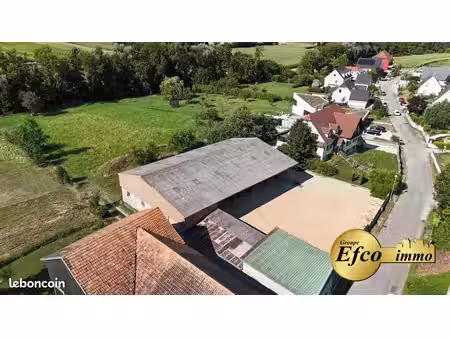 terrain 1598 m² wahlbach