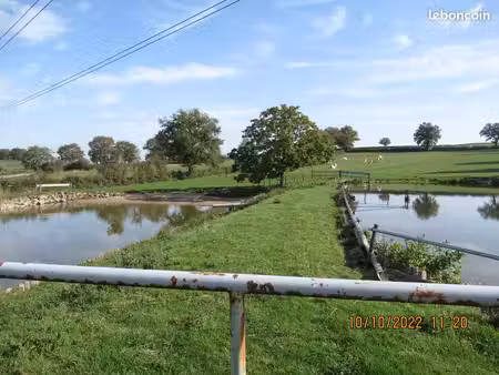vends 2 étangs avec terrain
