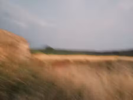terrain dans le 71