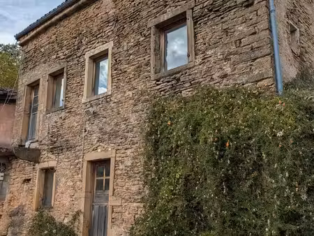 maison en pierre à rénover