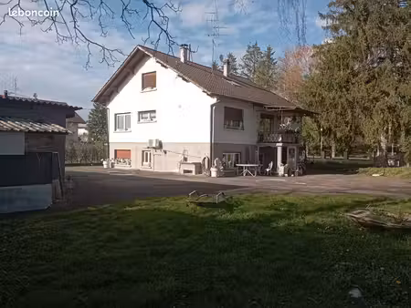 grande maison avec grande terrain