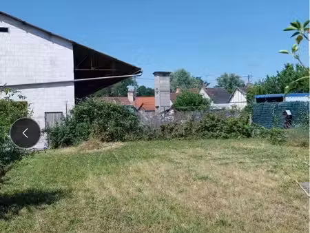 appartement à louer 3p + jardin 250m2 à cosne d’allier