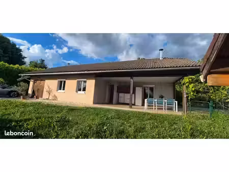 maison plain pied avec piscine et grand terrain
