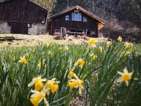 chalet d'alpage