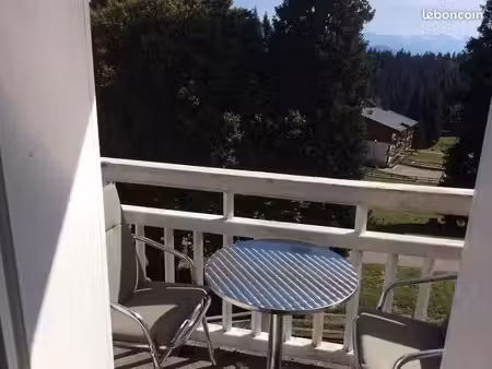 charmant t2 de 46 m2 meublé avec balcon  parking et cave