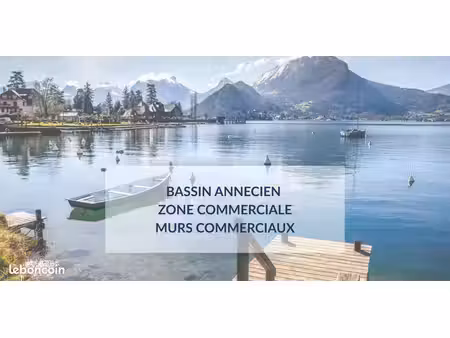 murs commerciaux 470 m² annecy