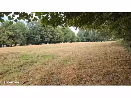 terrain pour chevaux
