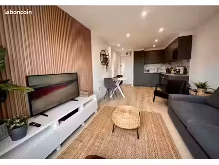 grand f1 de 30m2 quartier centre-ville/rive gauche