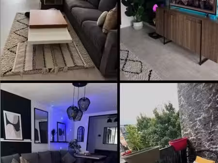 appartement entièrement rénové t2 50 m² à vendre