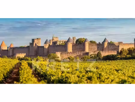 propriété carcassonne (11)