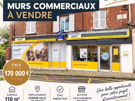 murs commerciaux 110m2 - nangis centre - parfait état - 170 000