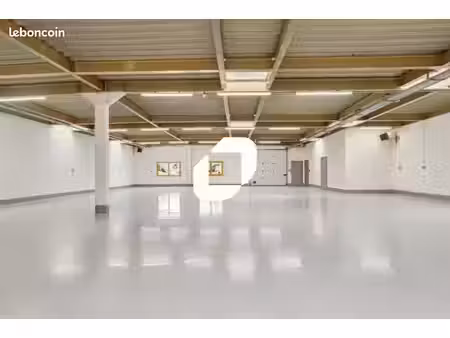 local d'activité 300 m²