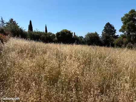 terrain 1 000 m² castres