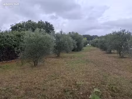 terrain à bâtir de 500 m² à la motte-d'aigues (84)