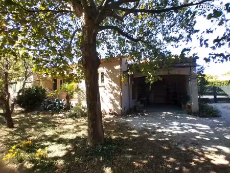 jolie maison de plein pied avec terrain et arbres fruitiers