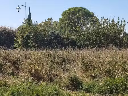 terrain à bâtir de 753 m² à althen-des-paluds (84)