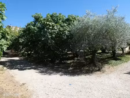 terrain à bâtir au pied du mont ventoux