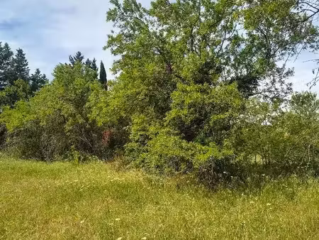terrain à bâtir de 1495 m² à carpentras (84)