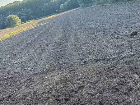 terrain agricole