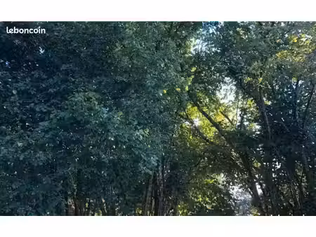 deux parcelles / forêt la roche posay