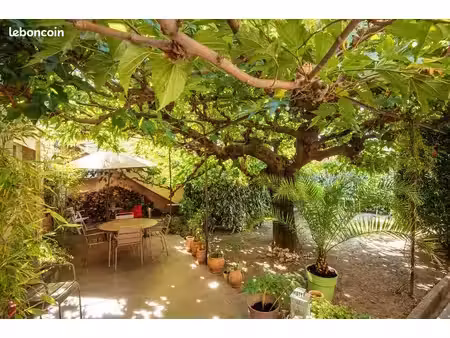maison familiale 160m2 jardin 508m2 studio indépendant avignon