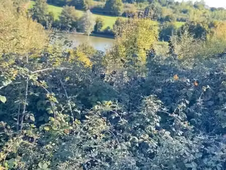 le vigeant (86) – 2 6 hectares de nature – 4 parcelles – proche plan d'eau