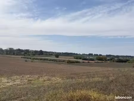 terrain 1576 m² montastruc