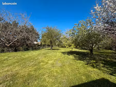 saint-benoit - magnifique terrain arboré de 1295m² à découvrir
