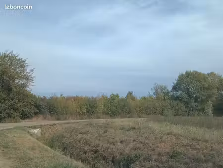 terrain agricole
