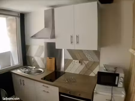 studio 25m2 entièrement rénové