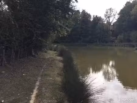 terrain avec étang