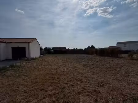 terrain constructible