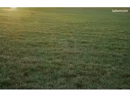 terrain à bâtir de 386 m2 au prix de 119000 à saint-vincent-sur-jard