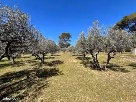 terrain agricole