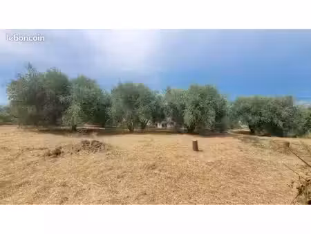 terrain  agricole