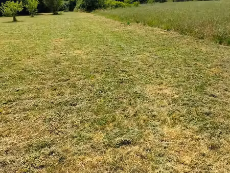 terrain 1911m2 +bati renové - electricité / puits -cu dépose - potentiel constructible- pi