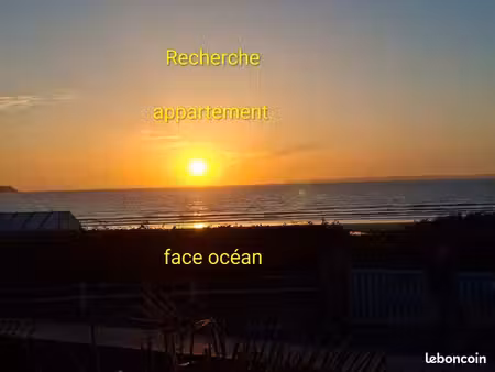 recherche appartement st jean de monts front de mer