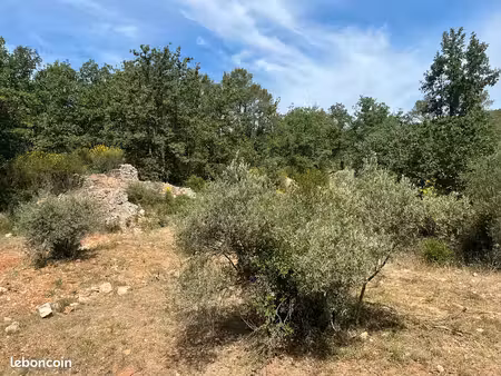 loue terrain de 3500 m2 pour les amoureux de la nature