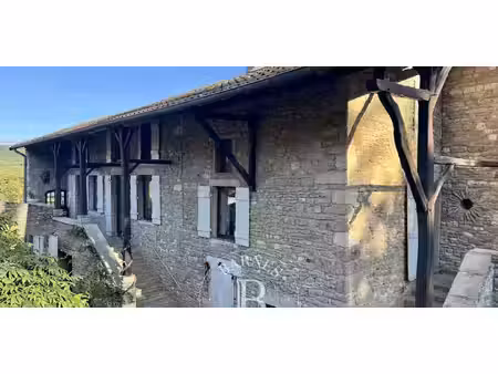 propriété avec piscine et jardin verze (71)
