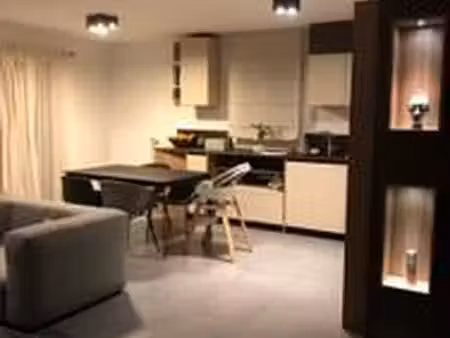 appartement t4 meublé à louer versonnex (01210)