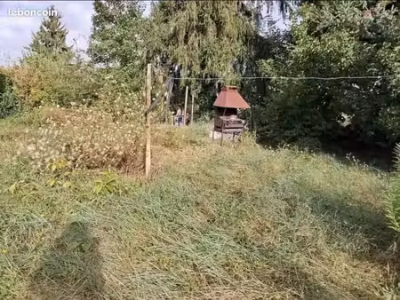 joli terrain arboré à vendre- au calme – centre-ville de bellerive-sur-allier