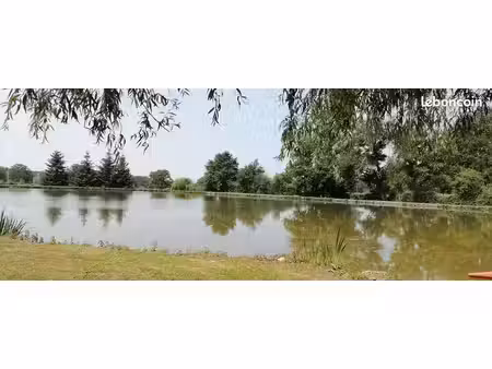 etang ( recherche ) dans l allier