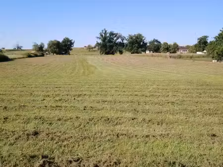 terrain constructible à diou (03)